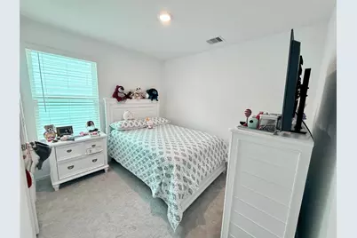 21321 Carosella Drive, New Caney, TX 77357 - Photo 18