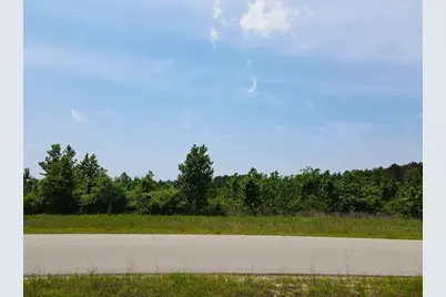 16089 Forest Mill Road, Willis, TX 77378 - Photo 6