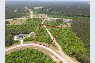 16089 Forest Mill Road, Willis, TX 77378 - Photo 2
