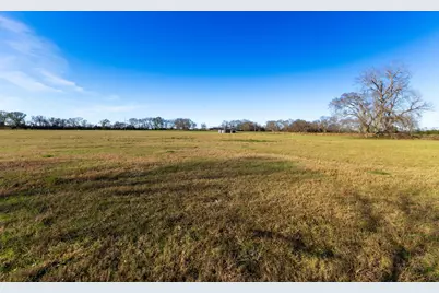 1230 Southfield Trail, Lovelady, TX 75851 - Photo 6