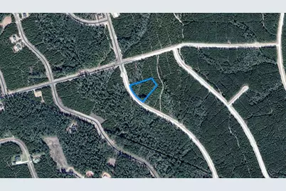 15590 Woodlife Road, Willis, TX 77378 - Photo 6