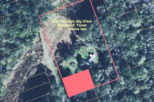 300 Yancey Big Drink, Shepherd, TX 77371 - Photo 1