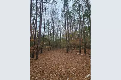 263 Wishing Trail, Livingston, TX 77351 - Photo 2