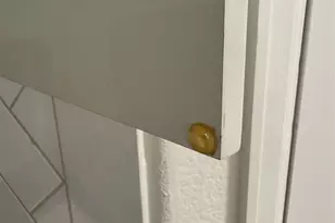 2911 Cooper Hawk Ln, Richmond, TX 77406 - Photo 22