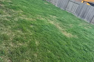 2911 Cooper Hawk Ln, Richmond, TX 77406 - Photo 10