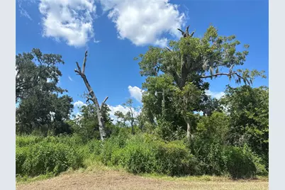 1665 County Road 310, Brazoria, TX 77422 - Photo 8