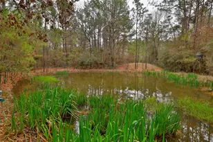 7514 Saddle Blanket Dr, Waller, TX 77484 - Photo 46