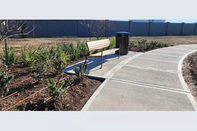 3248 Woodrose Orchard, Pearland, TX 77581 - Photo 24