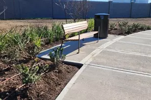 3248 Woodrose Orchard, Pearland, TX 77581 - Photo 24