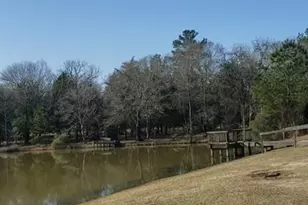 26702 Callie Dr, Hempstead, TX 77445 - Photo 6