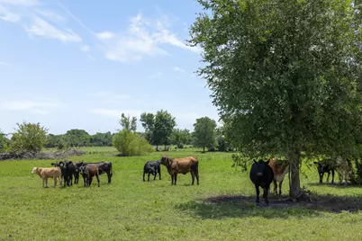 3738 County Road 222, Anderson, TX 77830 - Photo 40