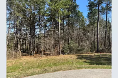 67-21-13 Bighorn Road, New Waverly, TX 77358 - Photo 4