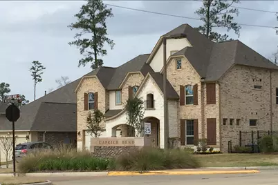 2 Caprice Bend Place, Tomball, TX 77375 - Photo 18