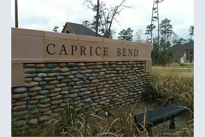 2 Caprice Bend Place, Tomball, TX 77375 - Photo 4