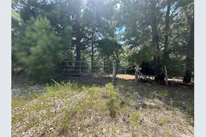 Tbd Pr 4361, Lexington, TX 78947 - Photo 4