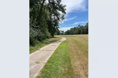 12147 Mustang Avenue, Willis, TX 77378 - Photo 10