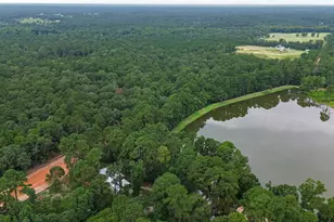 6170 Beech Dr, Montgomery, TX 77316 - Photo 38