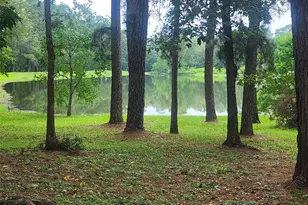 6170 Beech Dr, Montgomery, TX 77316 - Photo 32