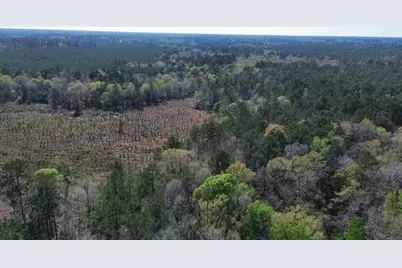 16332 Highway 96 S, Kirbyville, TX 75956 - Photo 1