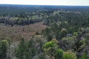 16332 Hwy 96 S, Kirbyville, TX 75956 - Photo 1