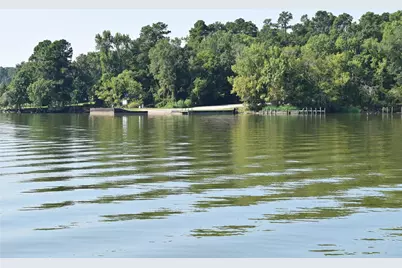68 Edgewater Way, Point Blank, TX 77364 - Photo 46