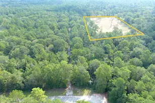 12075 Coon Hollow Rd, Conroe, TX 77032 - Photo 2