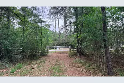 225 Pelican Street, Magnolia, TX 77355 - Photo 4