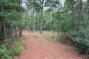 225 Pelican St, Magnolia, TX 77355 - Photo 10