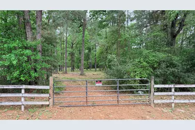 225 Pelican Street, Magnolia, TX 77355 - Photo 1