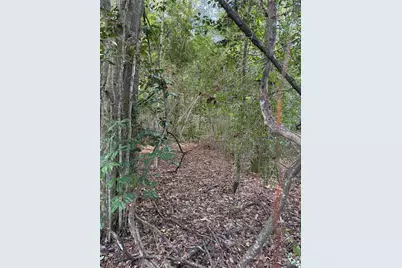 0000 Overstreet Loop, Kountze, TX 77625 - Photo 4