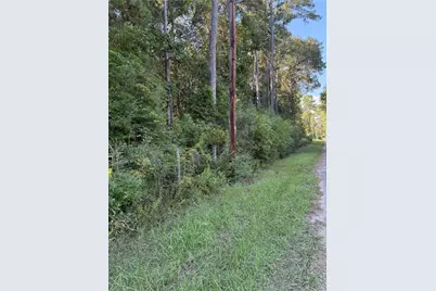 0000 Overstreet Loop, Kountze, TX 77625 - Photo 2