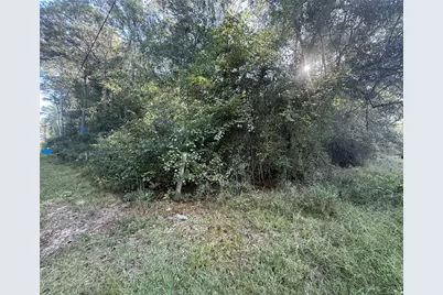 0000 Overstreet Loop, Kountze, TX 77625 - Photo 6