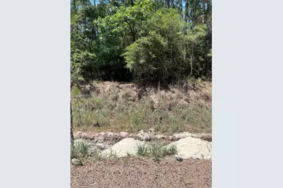 Tbd E Moonlight Drive, Onalaska, TX 77360 - Photo 10