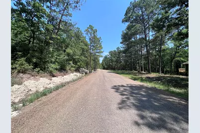 Tbd E Moonlight Drive, Onalaska, TX 77360 - Photo 2