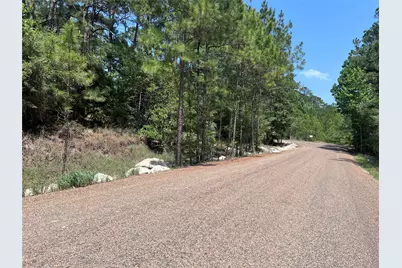 Tbd E Moonlight Drive, Onalaska, TX 77360 - Photo 4