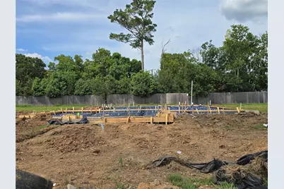 23105 Chablis Drive, Alvin, TX 77511 - Photo 2