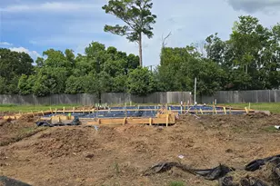 23105 Chablis Dr, Alvin, TX 77511 - Photo 2