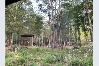 5566 County Road 451, Kirbyville, TX 75956 - Photo 2