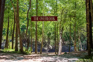 22169 Oleta River Dr, Porter, TX 77365 - Photo 4