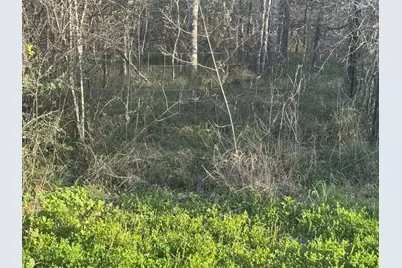 13622 Charlie Roberts Road, Kendleton, TX 77451 - Photo 4