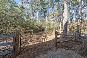 322 Whispering Meadow, Magnolia, TX 77355 - Photo 48