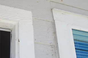 230 Northlawn, Montgomery, TX 77316 - Photo 2