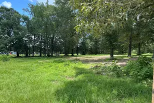 Tbd N Mount Mariah Rd, Montgomery, TX 77356 - Photo 1