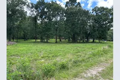 Tbd N Mount Mariah Road, Montgomery, TX 77356 - Photo 2