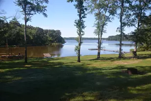 Tbd Pine Island Cove Rd, Grapeland, TX 75844 - Photo 6