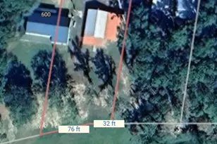 Tbd Pine Island Cove Rd, Grapeland, TX 75844 - Photo 2