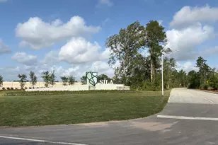 31412 Pratola Serra Cir, Huffman, TX 77336 - Photo 18