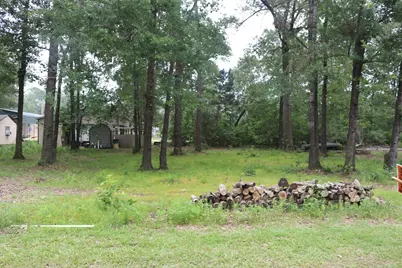 Tbd Belize Drive, Point Blank, TX 77364 - Photo 6