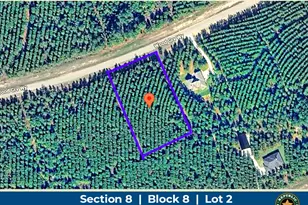 15509 Wood Grv Wy, Willis, TX 77378 - Photo 1