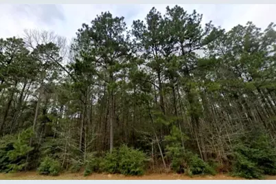 15509 Wood Grove Way, Willis, TX 77378 - Photo 6